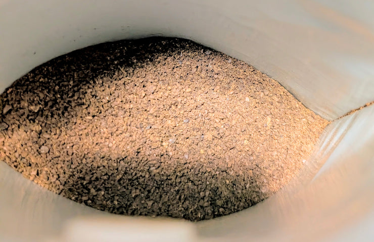 Coffee with Mushrooms Medium Roast